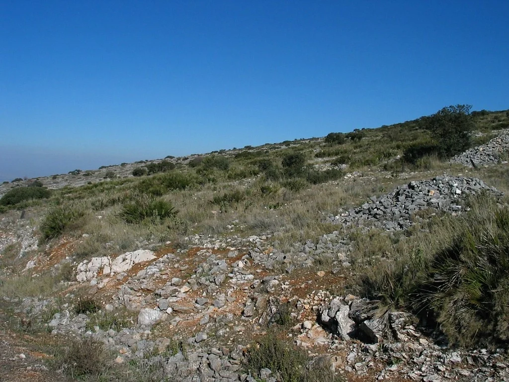 Rock fragments on the surface of a eroded soil