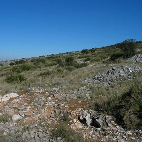 Rock fragments on the surface of a eroded soil