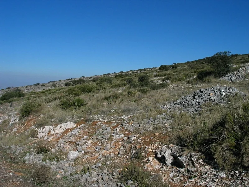 Rock fragments on the surface of a eroded soil