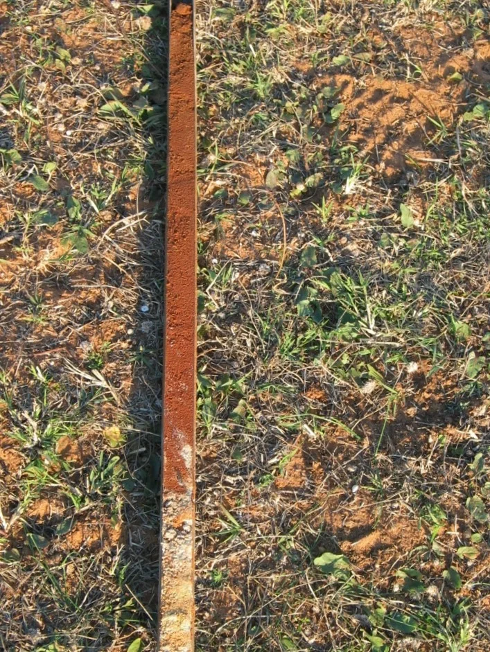 Calcaric Cambisol on sandy sediments
