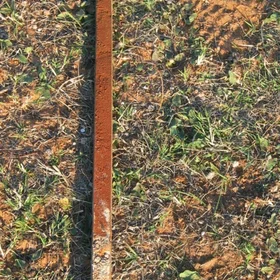 Calcaric Cambisol on sandy sediments