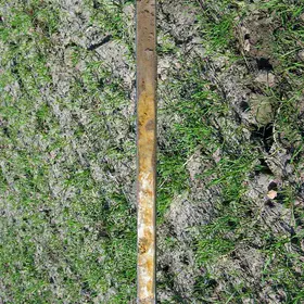 Calcaric Regosol on sandy sediments