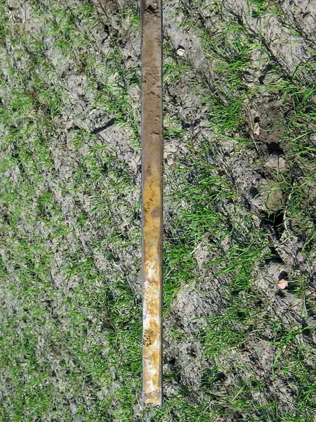 Calcaric Regosol on sandy sediments
