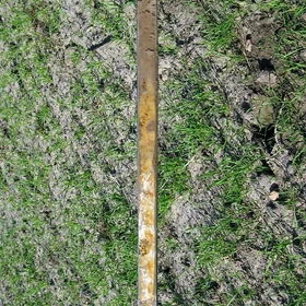 Calcaric Regosol on sandy sediments