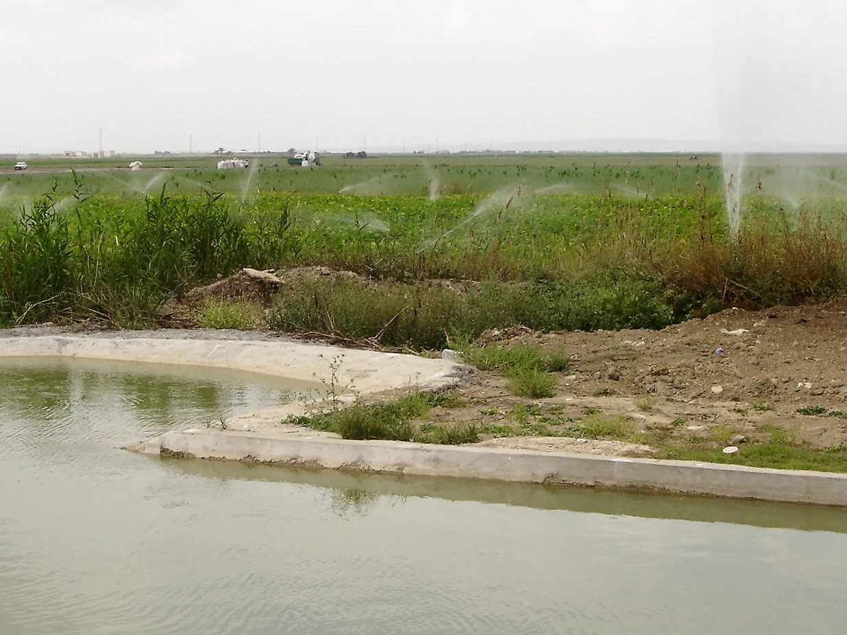 Irrigation system in the Guadalquivir Valley