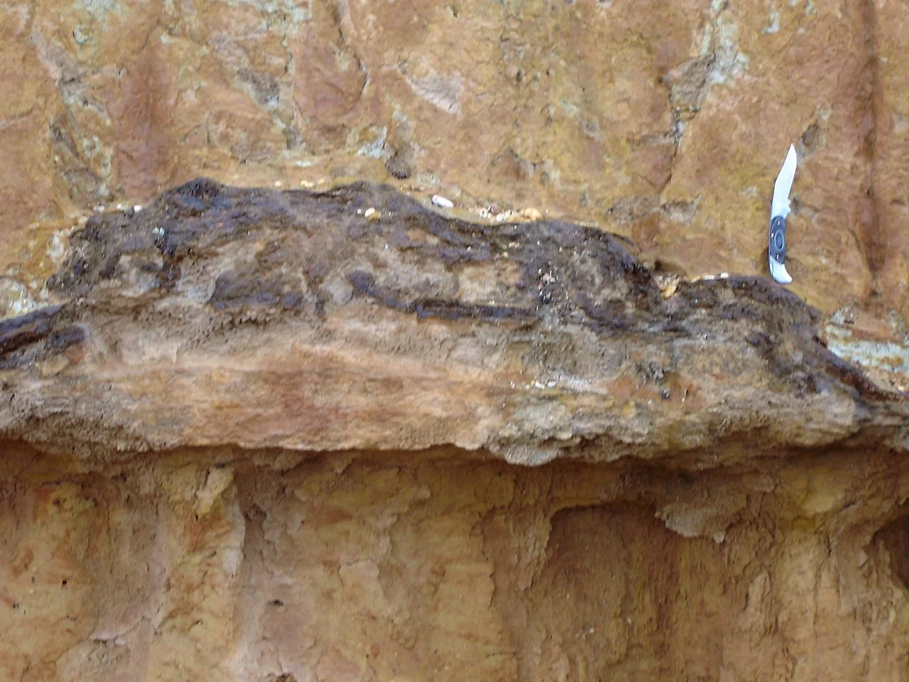 Iron pan 120 cm below the soil surface