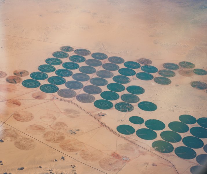 pivotal irrigation in the Egyptian desert