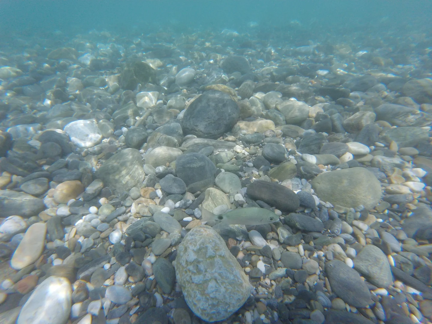 Living down the big blue