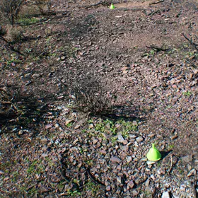 Installing double-funnel devices for measuring splash erosion in burned soil