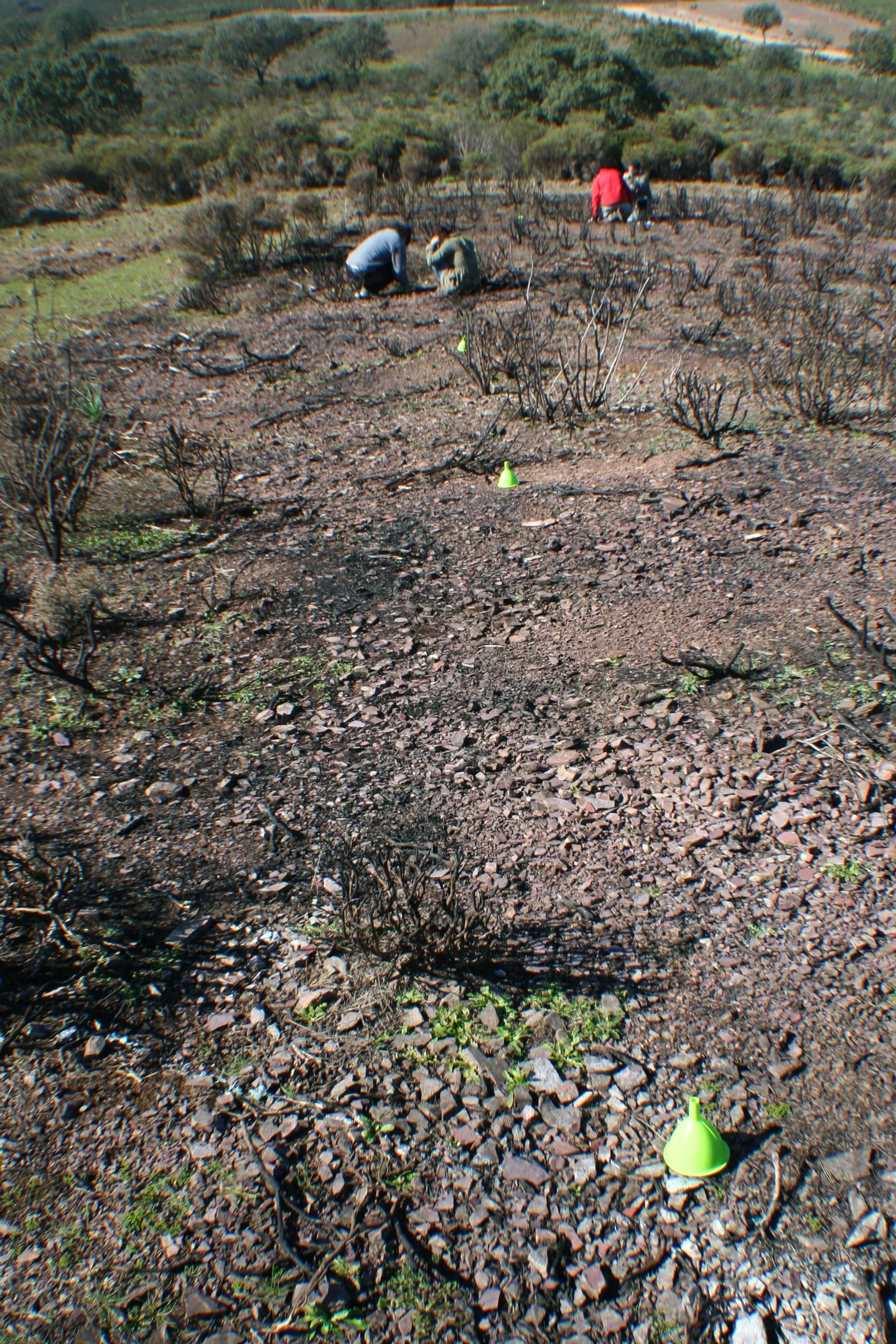 Installing double-funnel devices for measuring splash erosion in burned soil