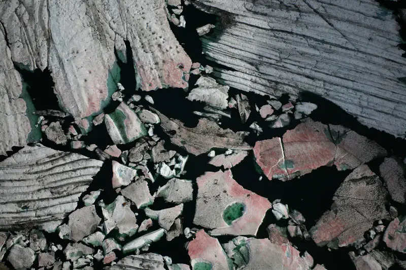 Bacteria Covering Ice
