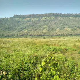 Ferricrete Cap in the Deccan Trap region at Satara