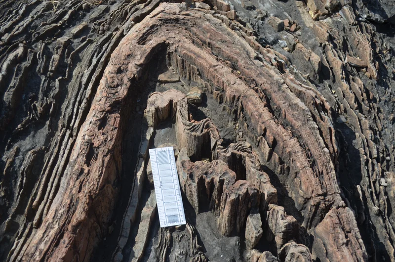 S-pattern at the left limb of the anticline fold, Ambaji, Gujarat, India