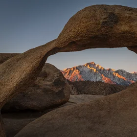 Natures architecture