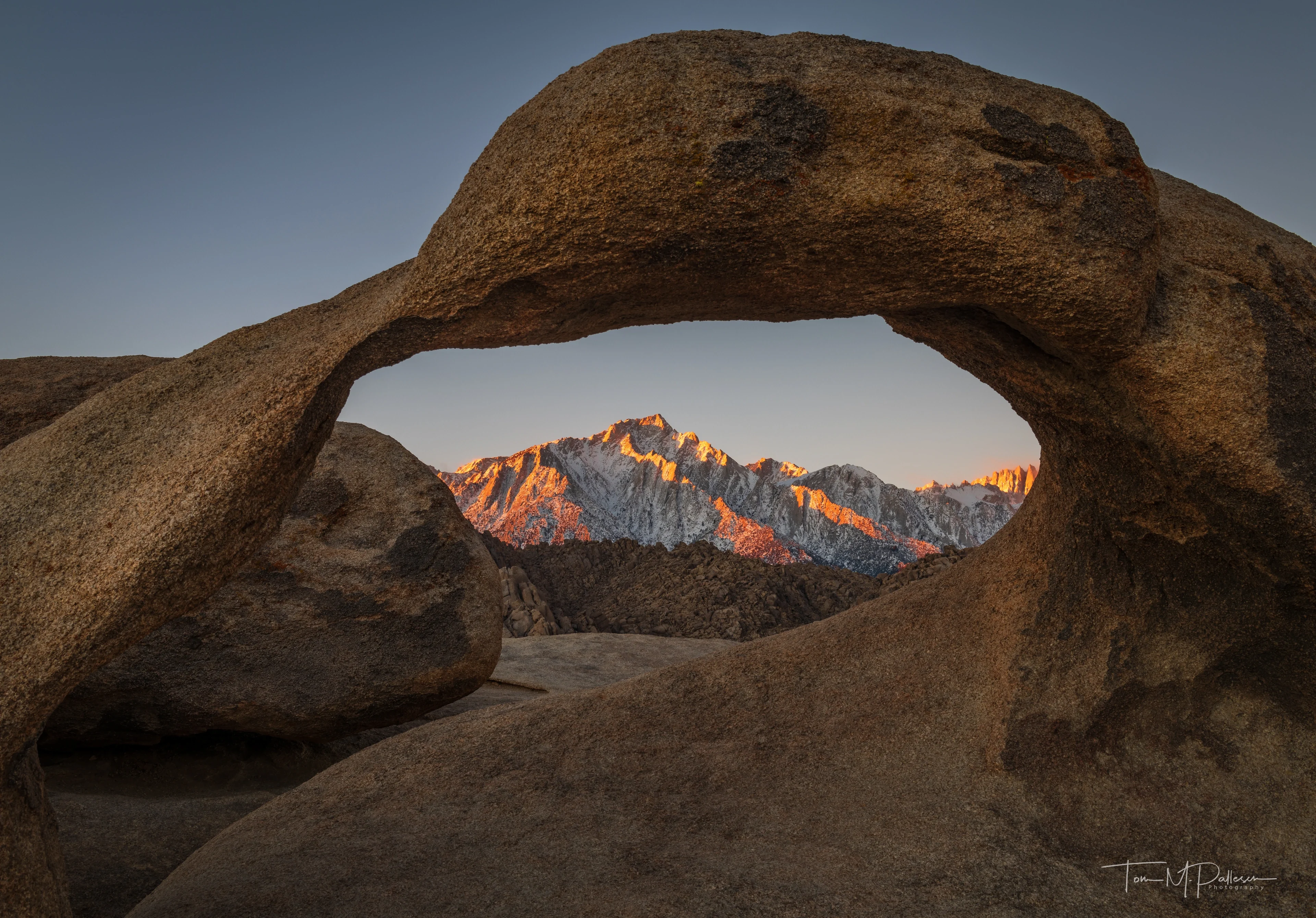 Natures architecture
