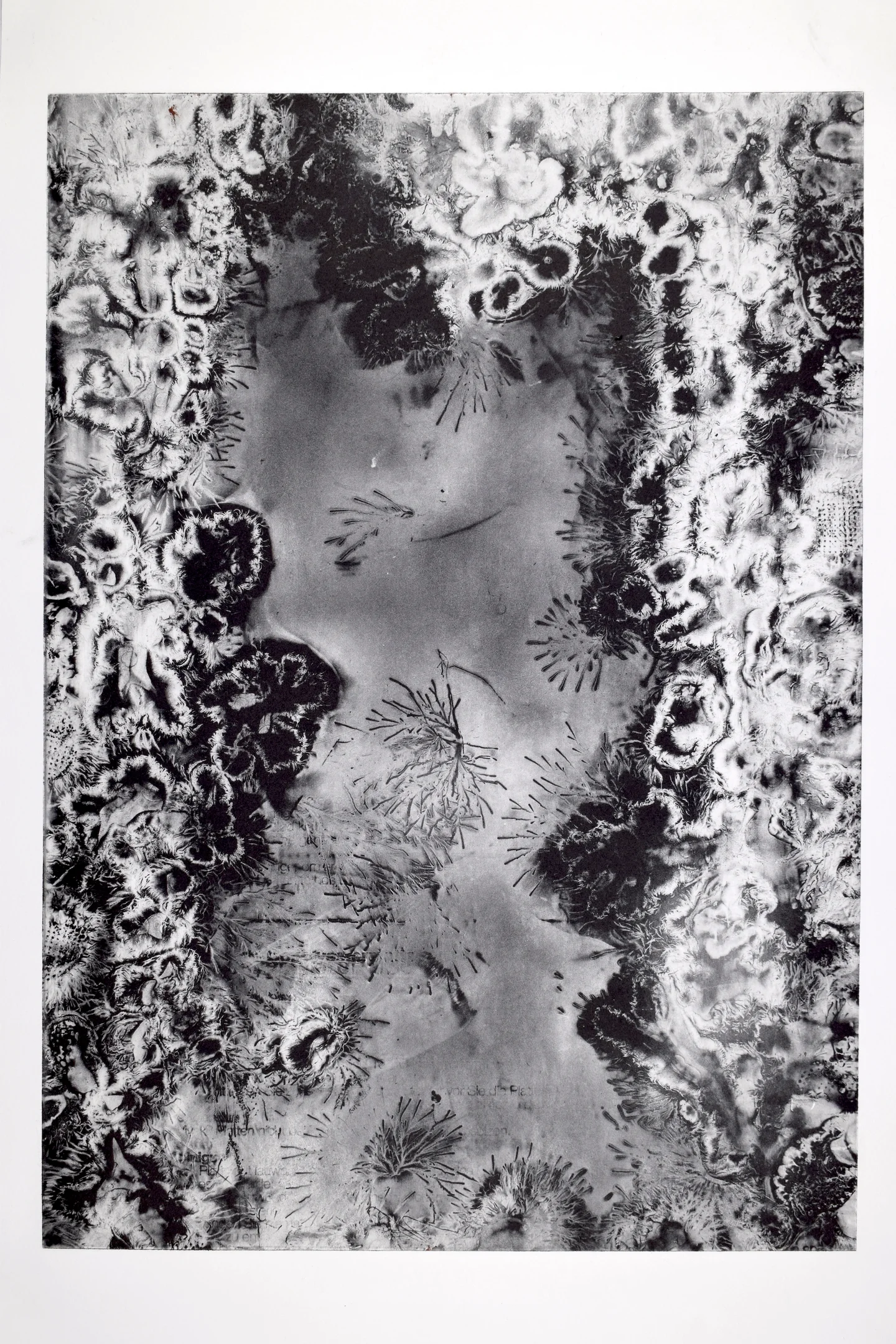 Lichtenberg Figure Visualisation