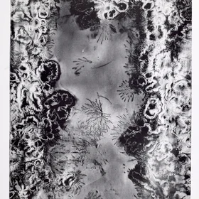 Lichtenberg Figure Visualisation
