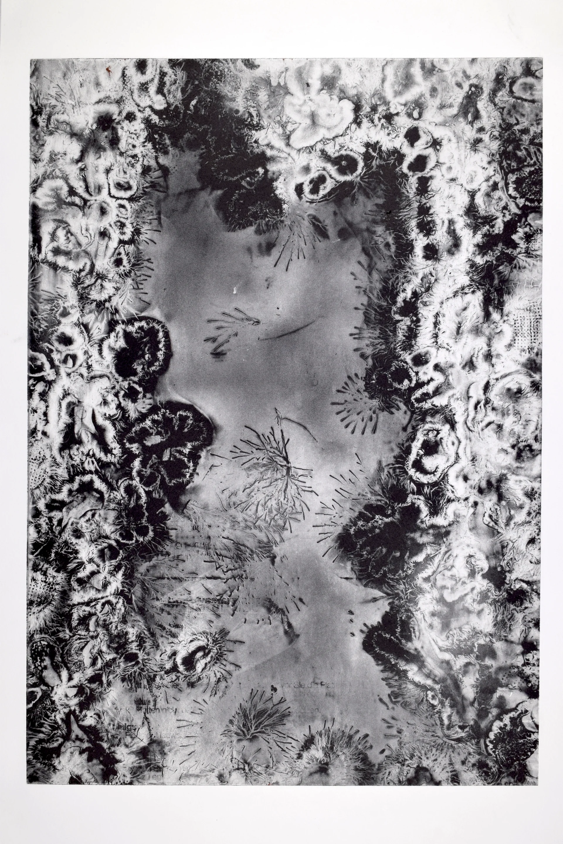 Lichtenberg Figure Visualisation