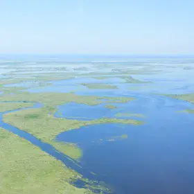 An endless bog of Ob Estuary