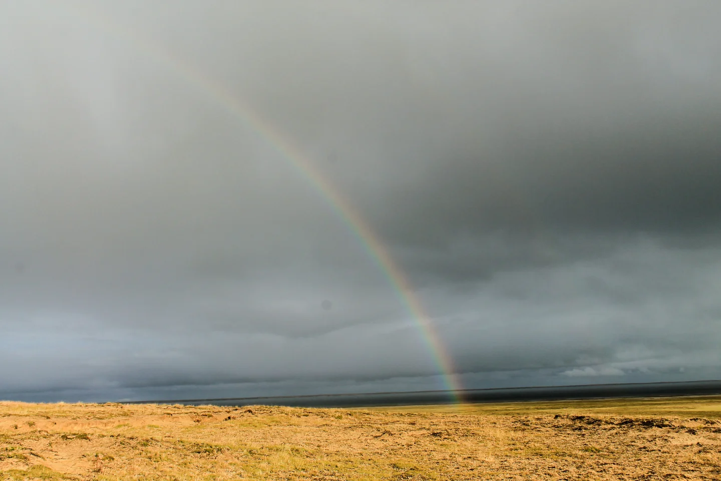 Colourfullness of tundra