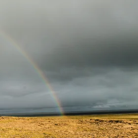 Colourfullness of tundra