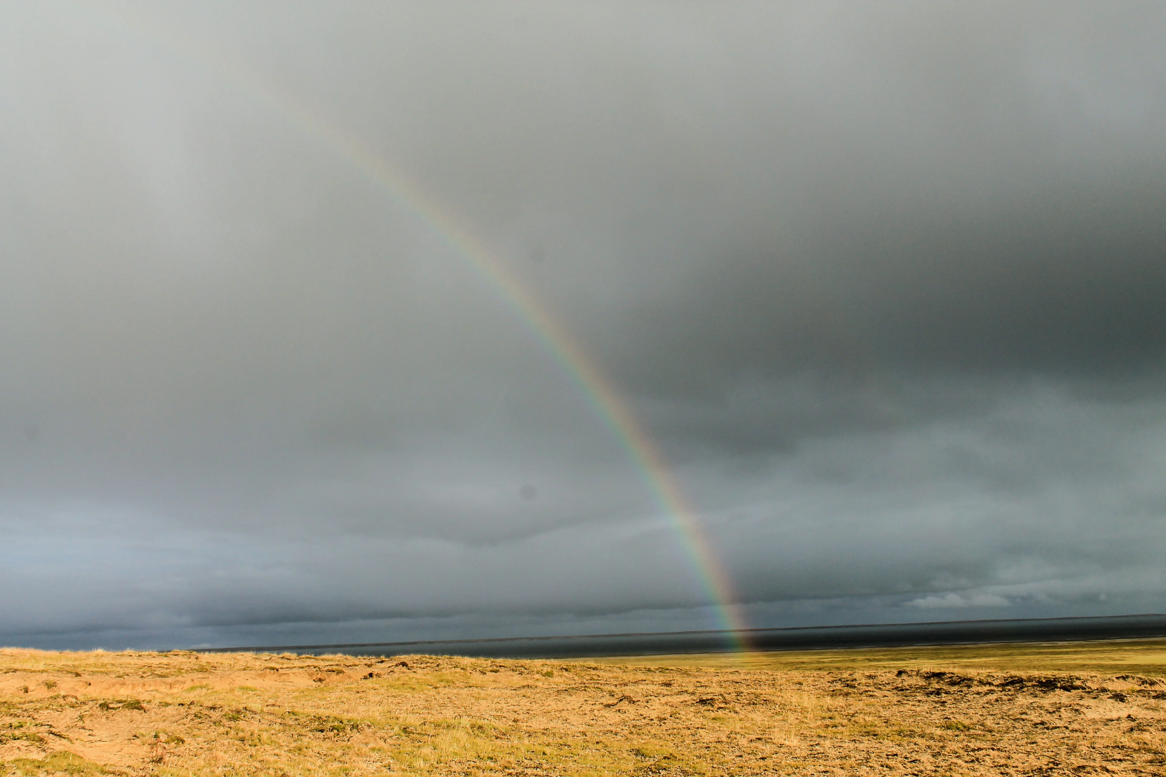 Colourfullness of tundra