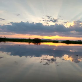 Sunrise in El Llanito swamp