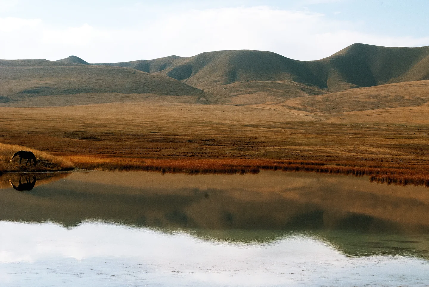 Horse by Lake - Lake Sonkul