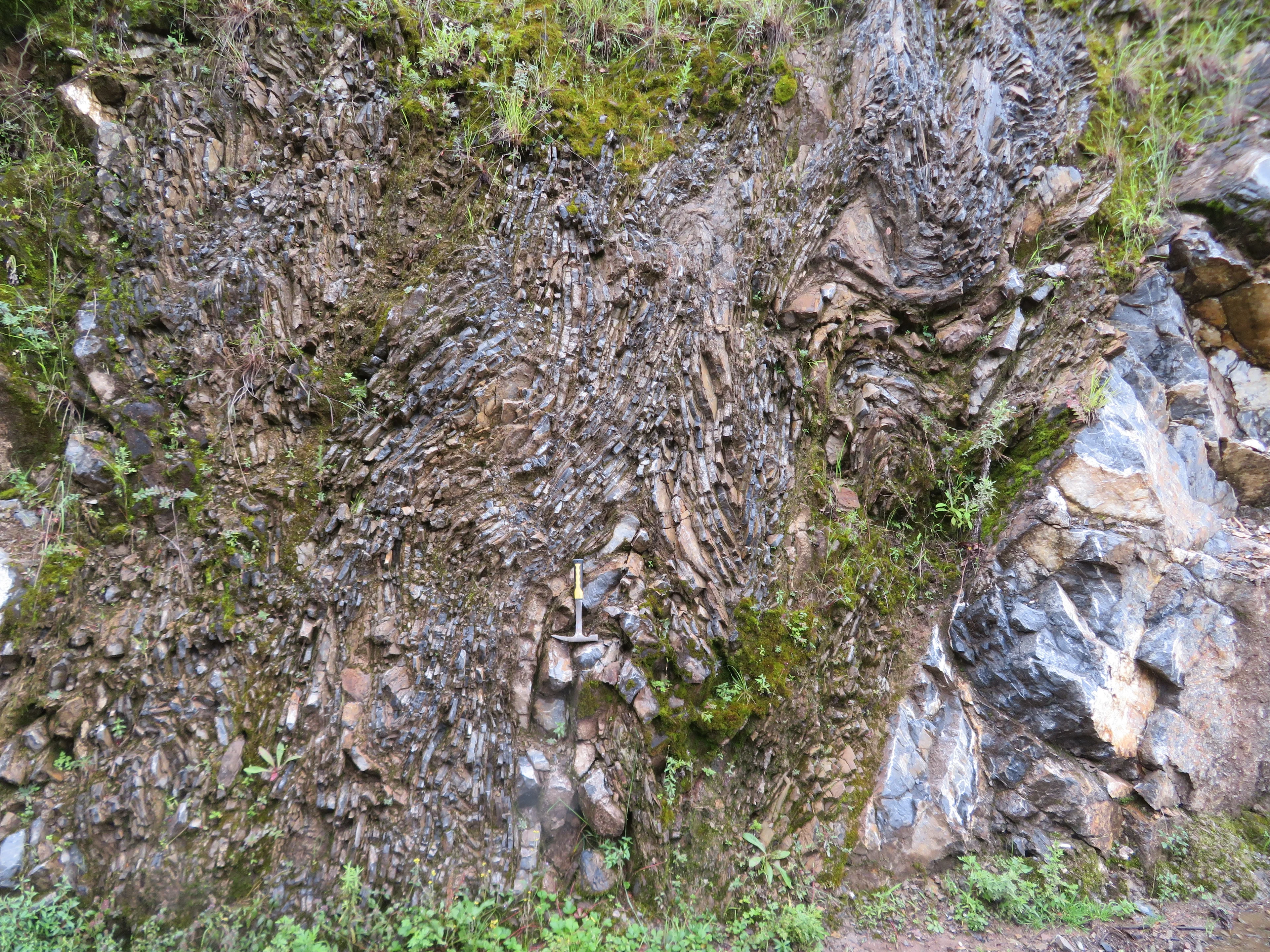 Tight fold in limestone