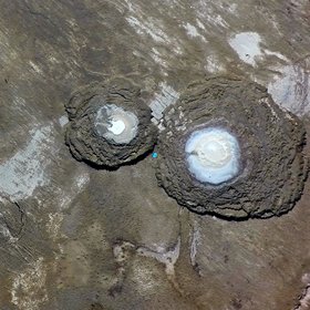 Pair of sinkholes at the Dead Sea
