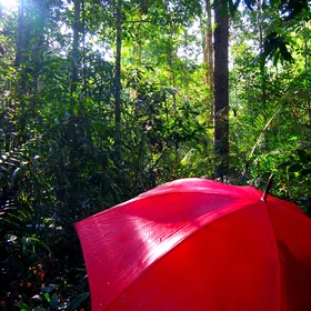 Working in the humid tropics
