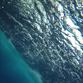 Ocean waves as the fish see it!