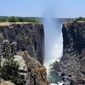 Cracks may separate land, but nature always finds a way to fill the void