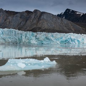 Shrinking habitats for Arctic species