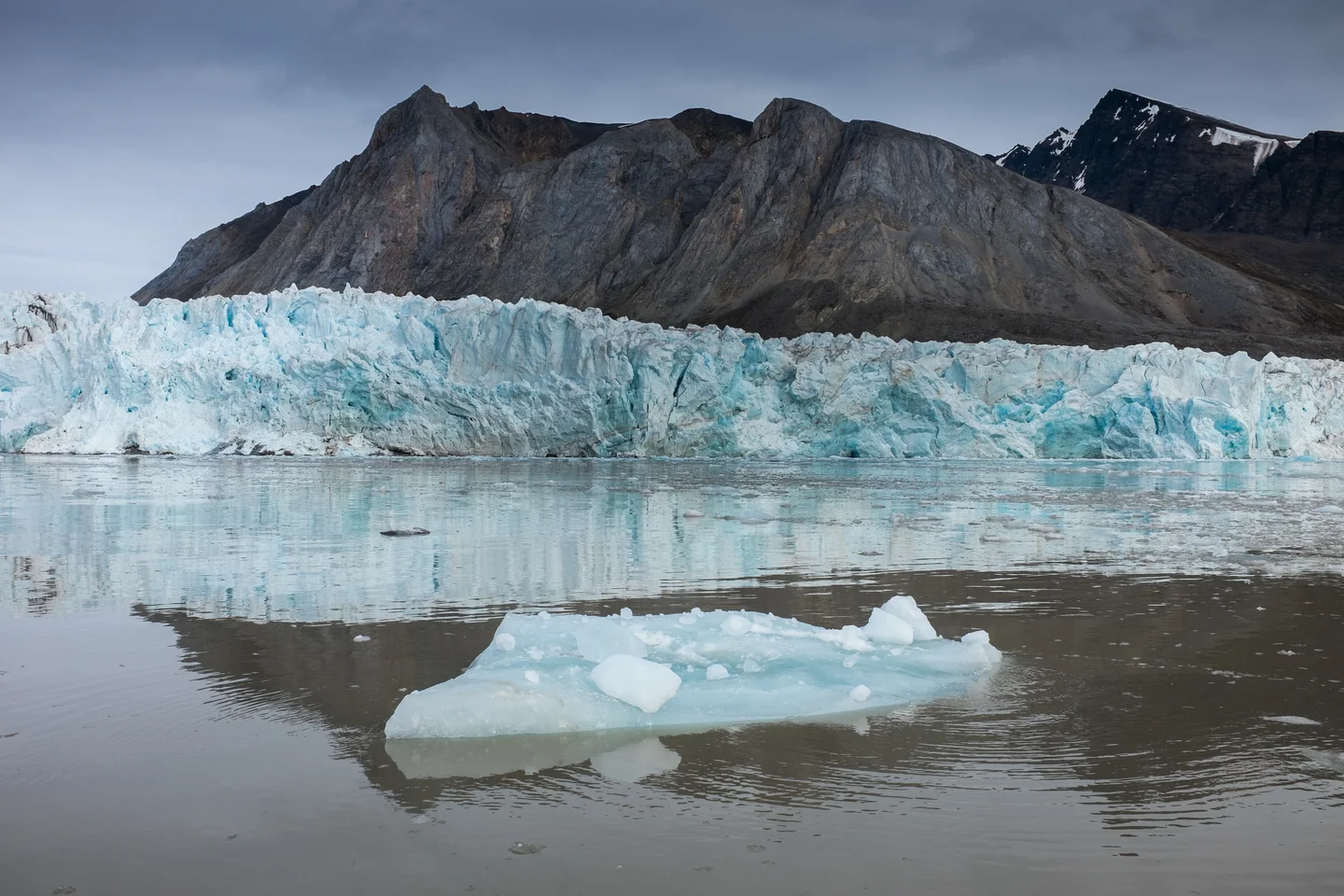 Shrinking habitats for Arctic species