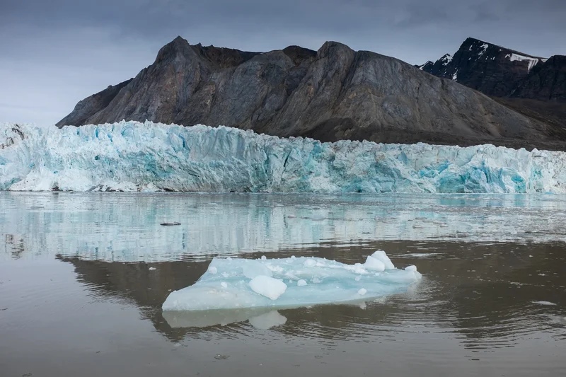 Shrinking habitats for Arctic species