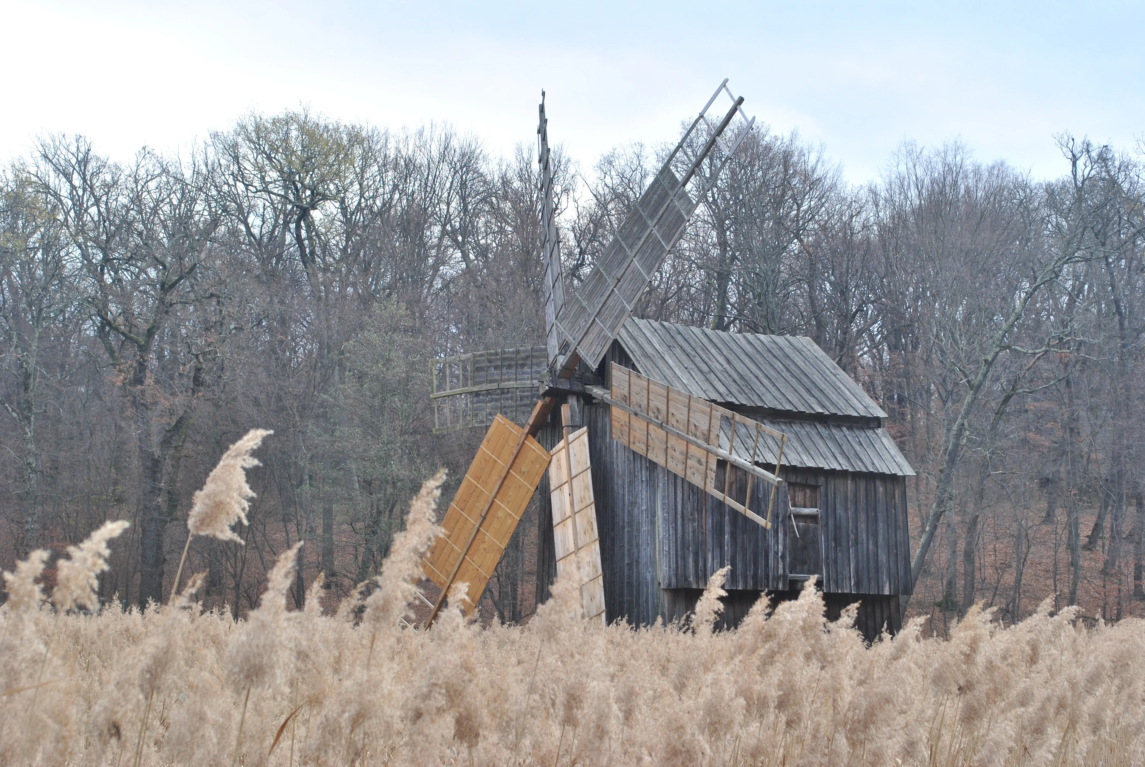 Windmill in Astra museum
