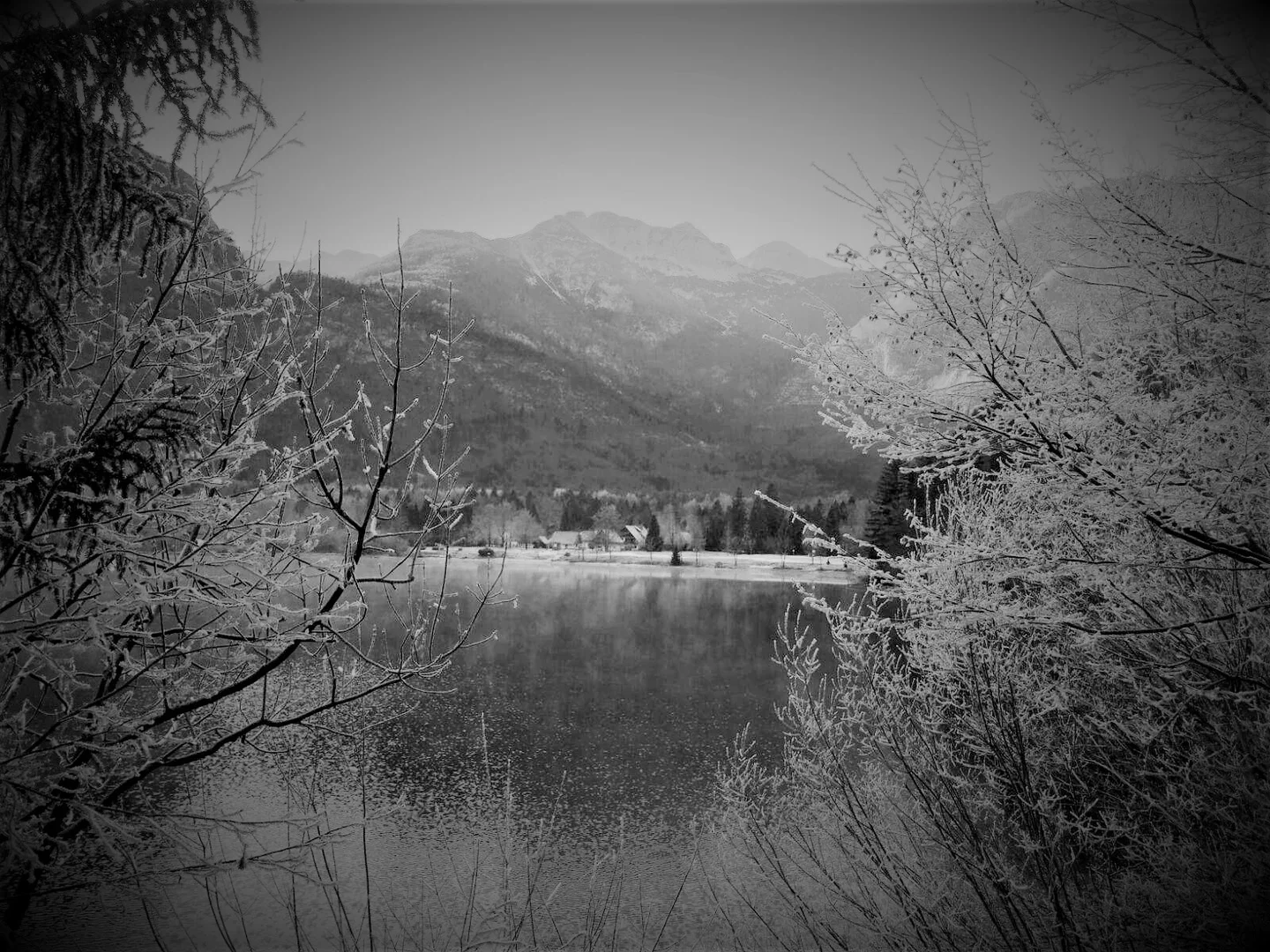 Frozen winter in the natural reserve of Triglav.
