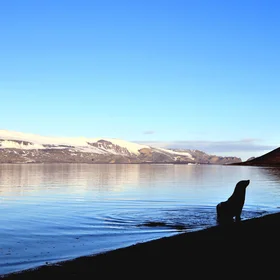 The Guard of Deception Island