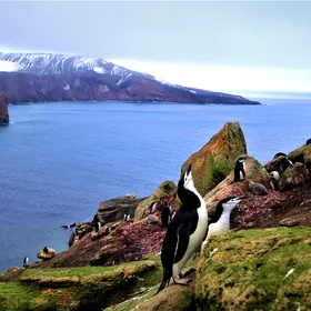 Linking Sea to Land