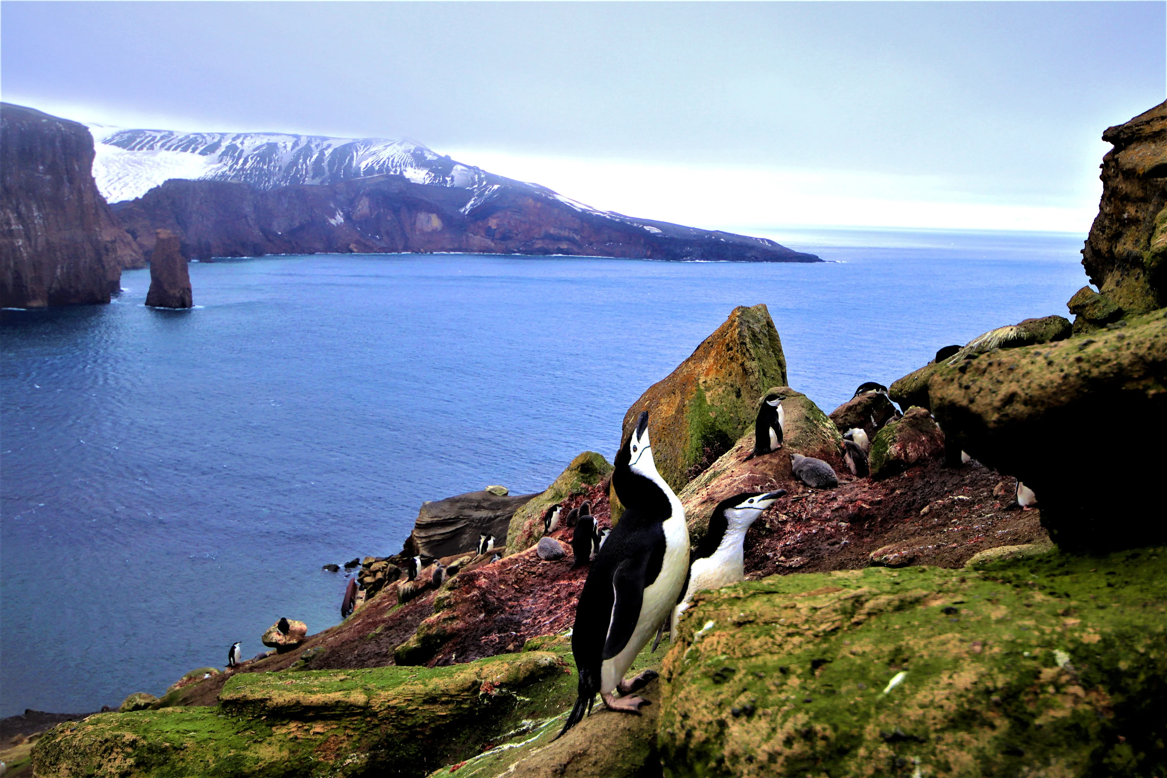 Linking Sea to Land
