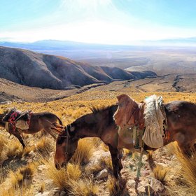 Transportation in the Andes