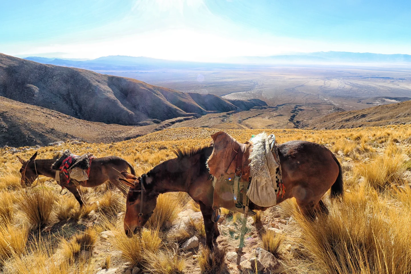 Transportation in the Andes