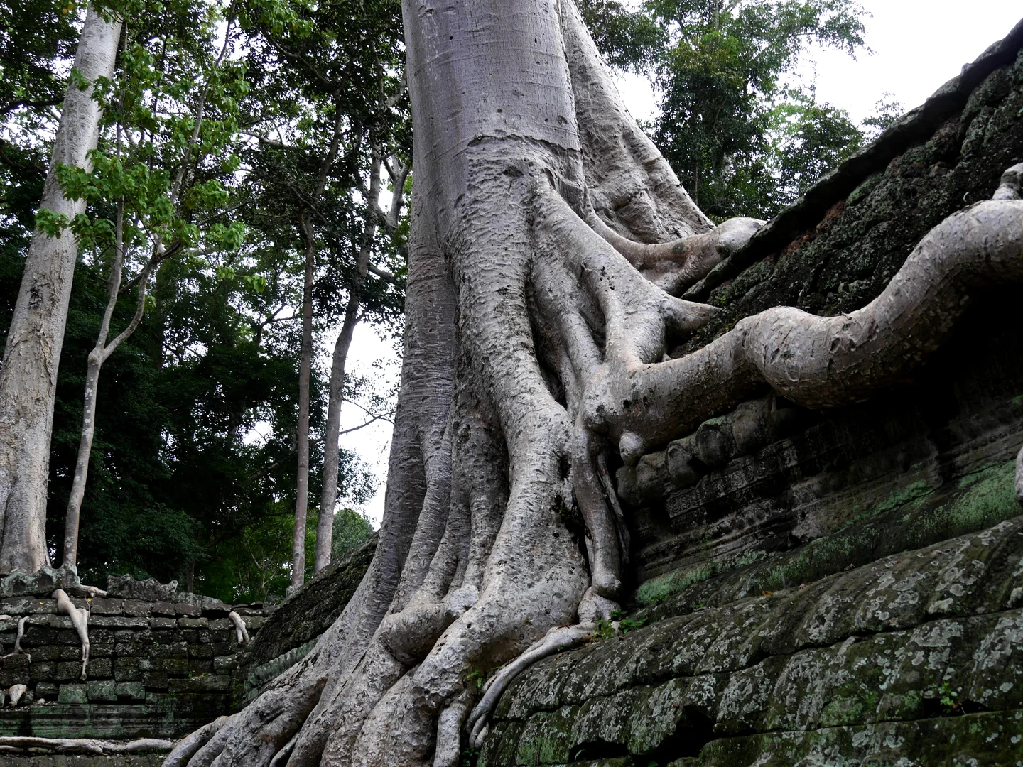 The Ents and their lost Empire