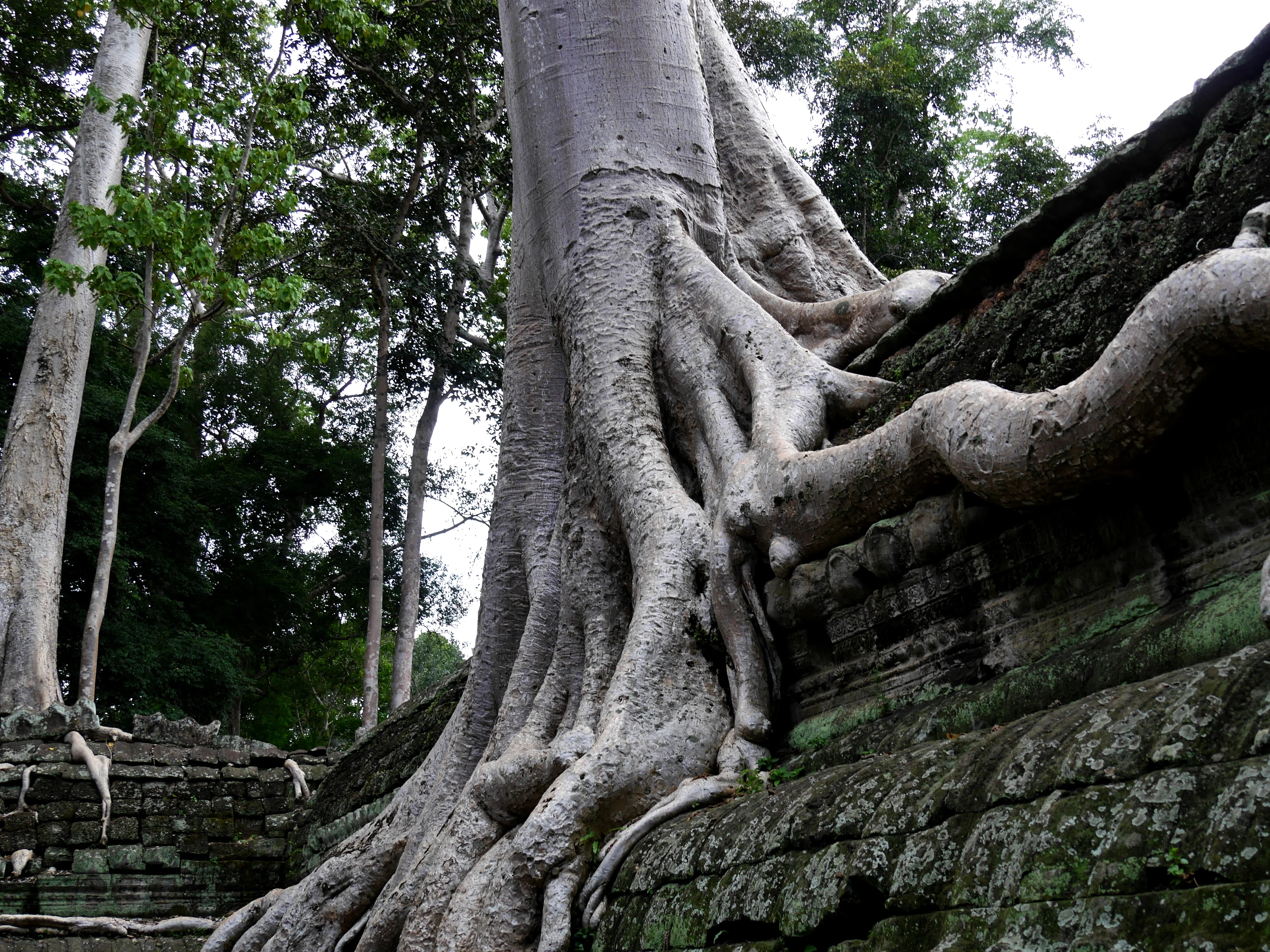 The Ents and their lost Empire