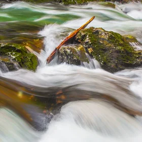 "Surfing" at Vintgar Gorge