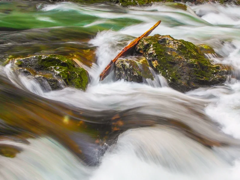 "Surfing" at Vintgar Gorge