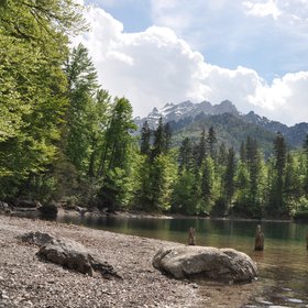 Small Alpine Lake in Upper Austria