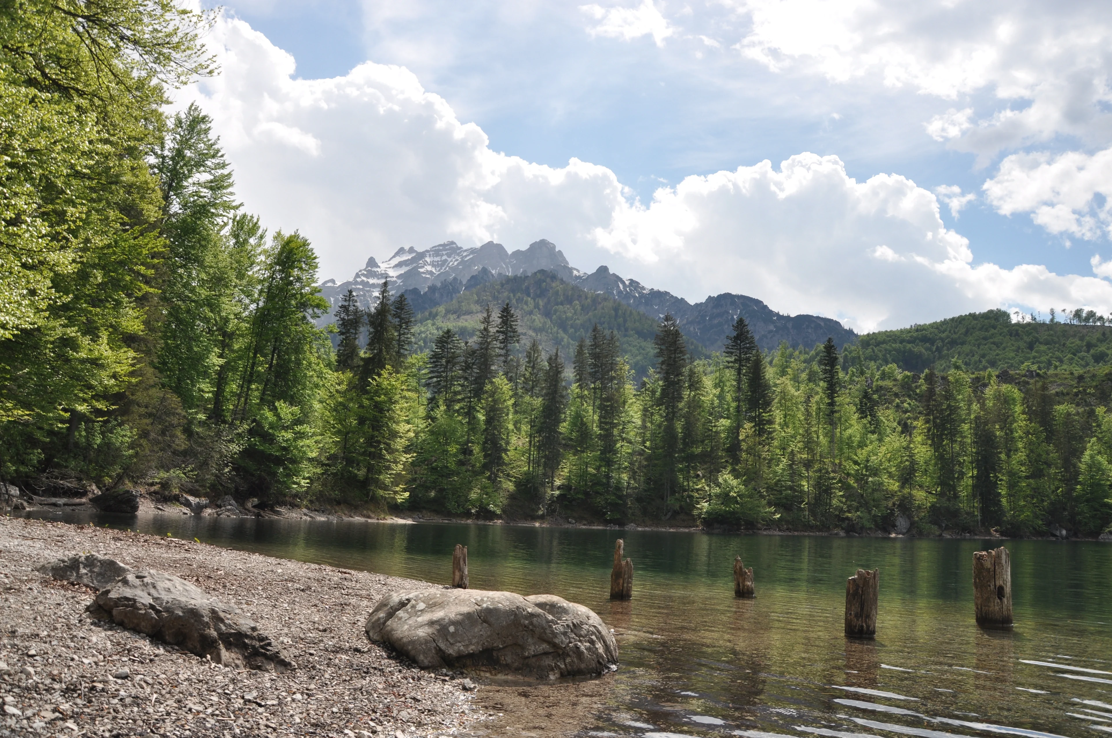 Small Alpine Lake in Upper Austria