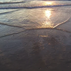 Mach Stem in the Near Shore Zone